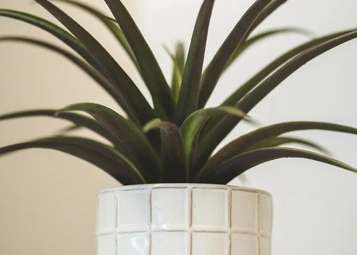 Apartamento Alter Ego Cozy Corner