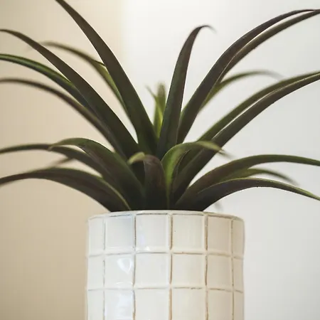 Apartman Alter Ego Cozy Corner